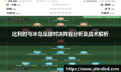 比利时与冰岛足球对决阵容分析及战术解析