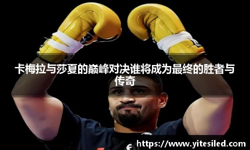emc易倍首页